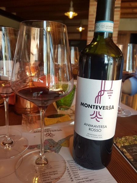 vino2