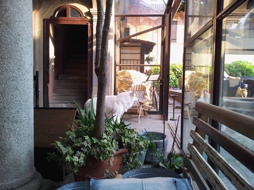 20150530_185045 (2)