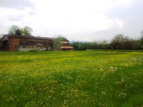 20150429_180356