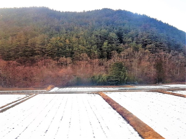 20190115_163602