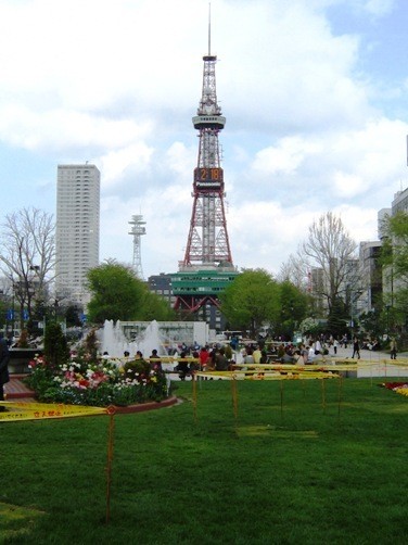 大通り