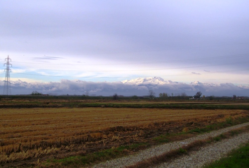 13 novembre 2008
