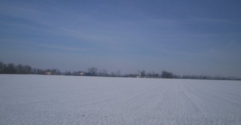 31012006 1