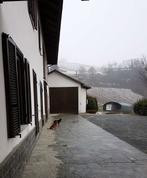 avezza3 (3)