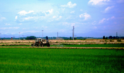 11giugno2006 1