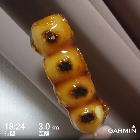 GarminConnect_20190123-002759