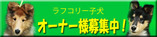 banner081113VFsmall
