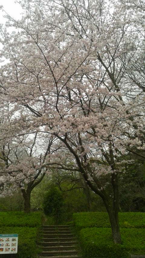 新林公園