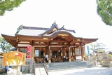 DSC06950