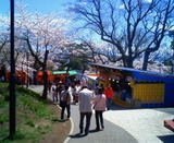 201005091108001