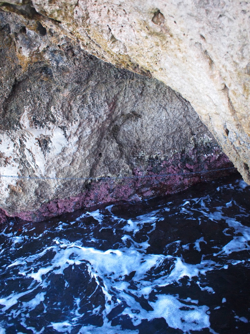 Capri9