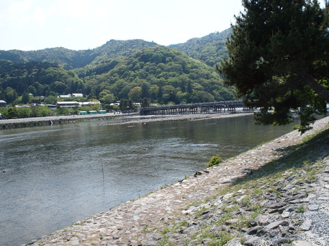 P4260253