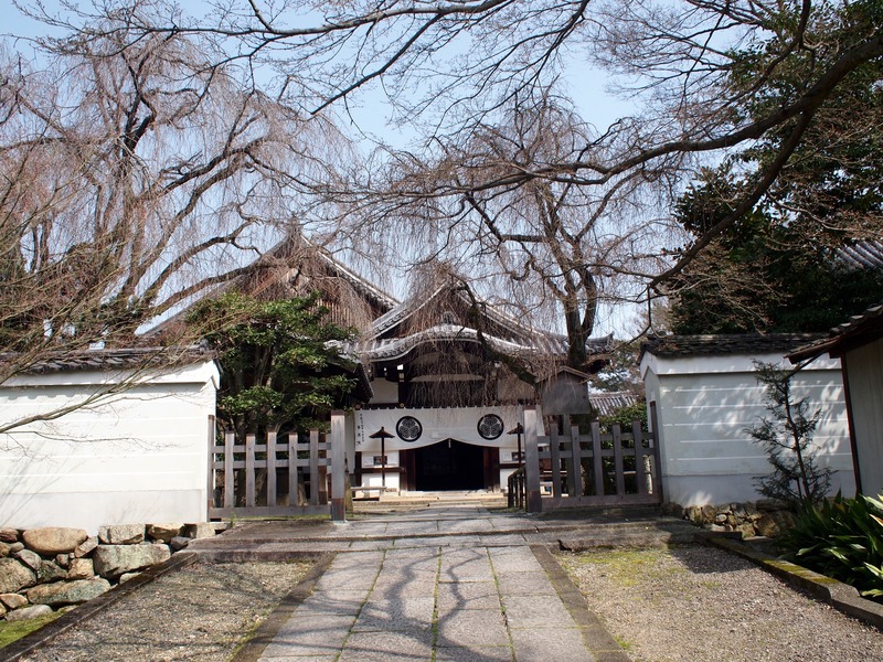 P3224338