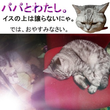 preview (1)