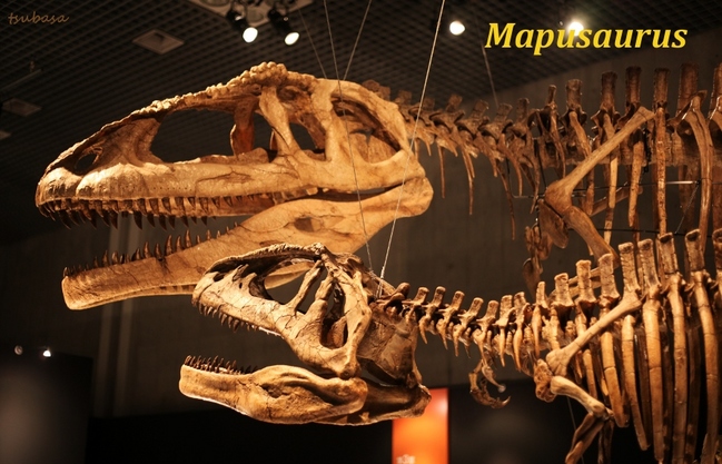 Mapusaurus