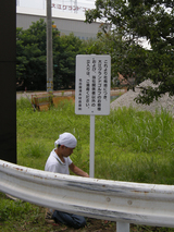 142ae233.jpg