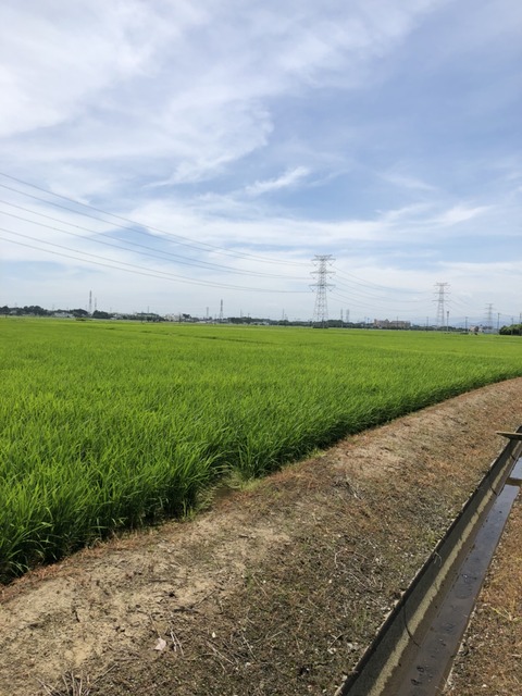 S_8210693352905