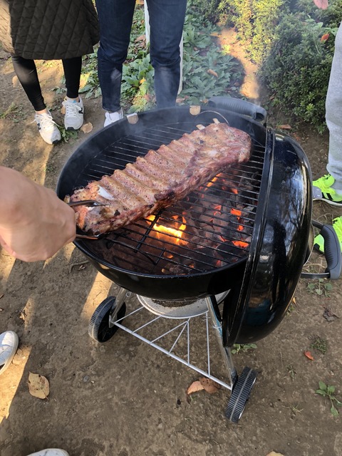 20181103_043920300_iOS