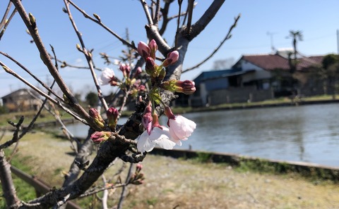 20190402_005916056_iOS