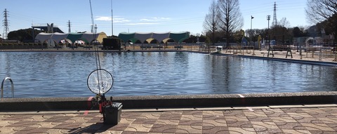 20190122_014339148_iOS