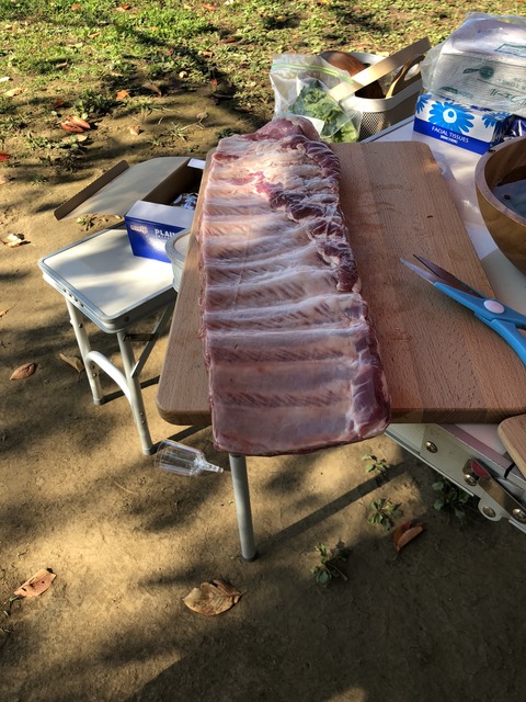 20181103_040043361_iOS