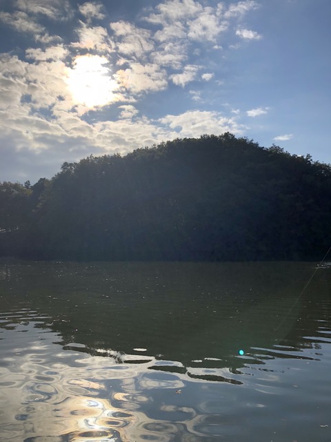 20181113_235530544_iOS
