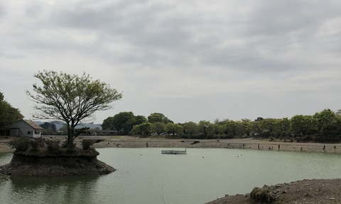 20190423_005953529_iOS