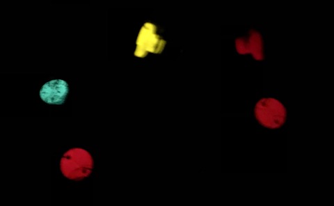 20181224_115636241_iOS