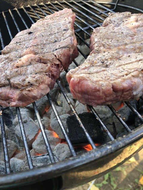 20181103_053431695_iOS
