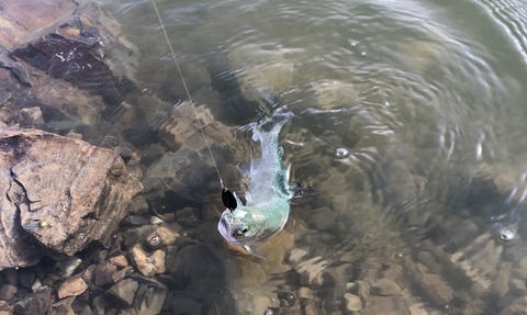 20190506_213844206_iOS