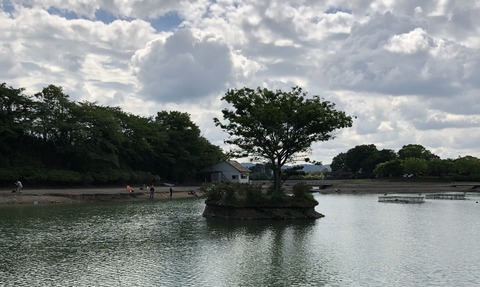 20190506_235509238_iOS