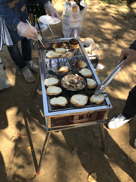 20181103_022349013_iOS