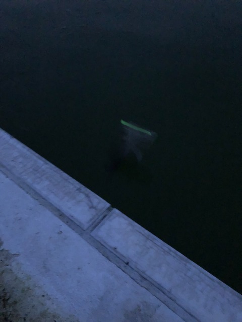 20181203_210442893_iOS