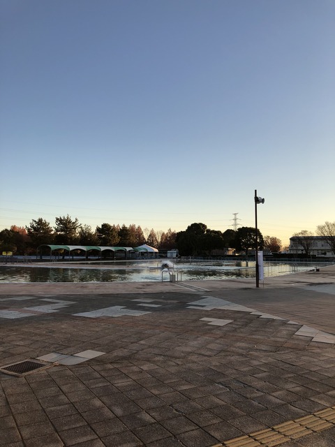 20181210_220449214_iOS