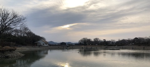 20190212_222737278_iOS