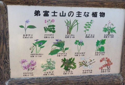 弟富士