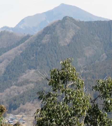 弟富士1