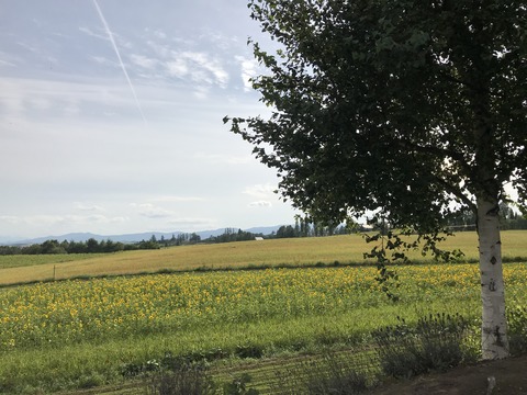 95589891-5214-4EAC-9C52-71F0DE43004F