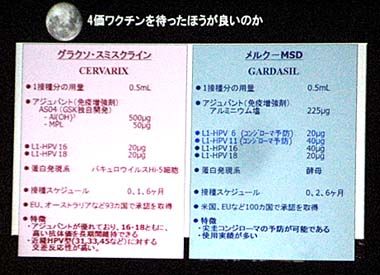 20110216 ¾®ÎÓ¹À°å»Õ 081
