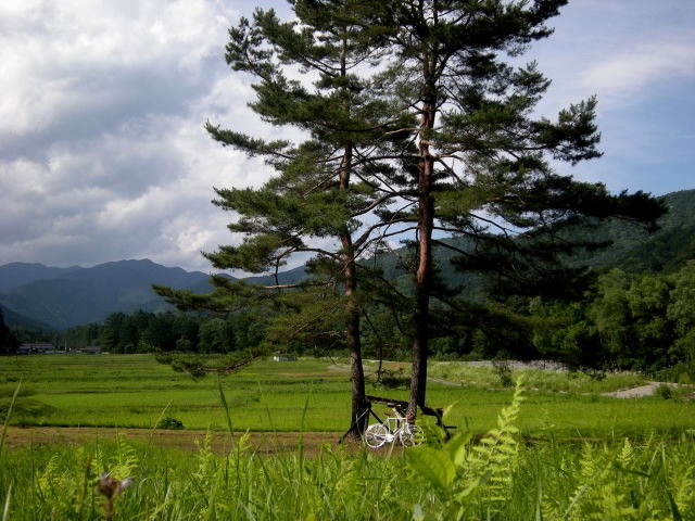 DSCN0011