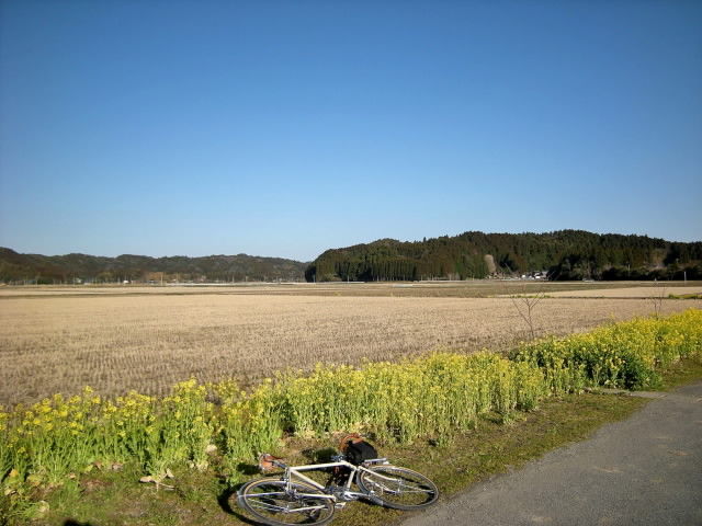 DSCN1697