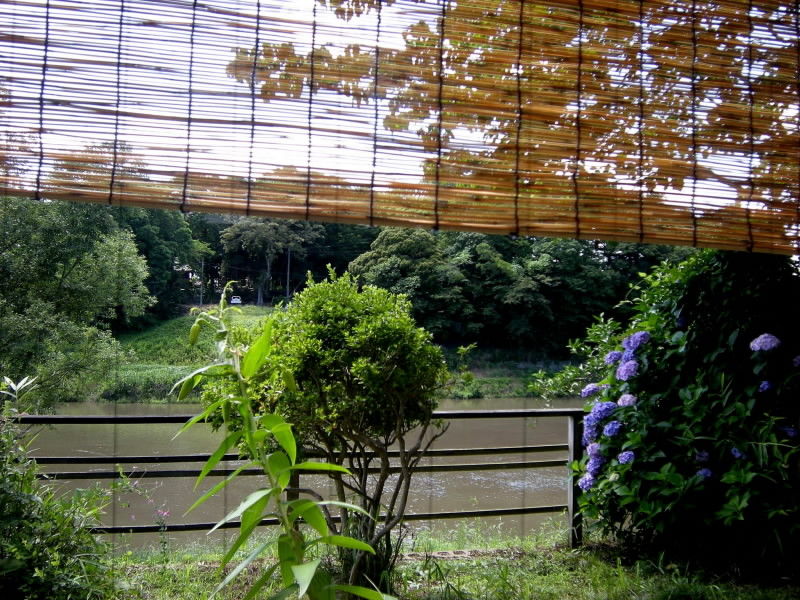 DSCN0337