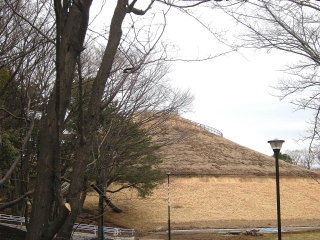 DSCN3847