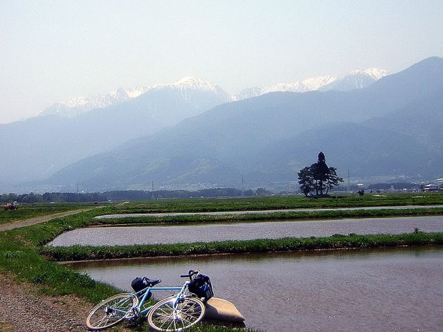 135f3eb5.jpg