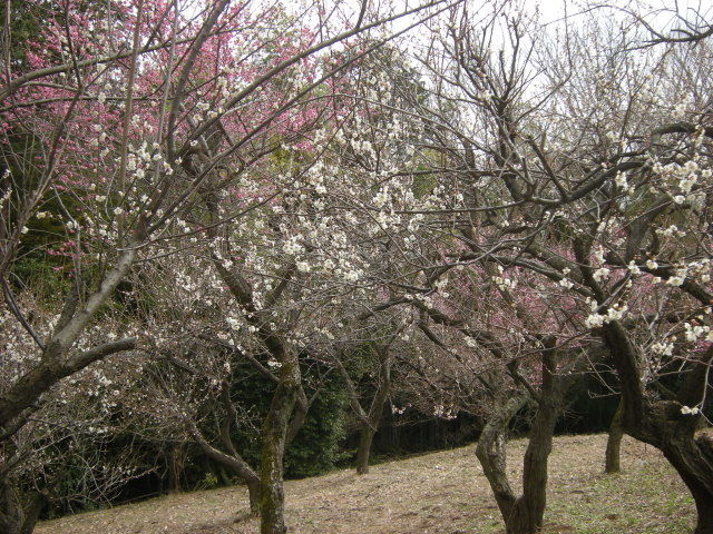 DSCN3843