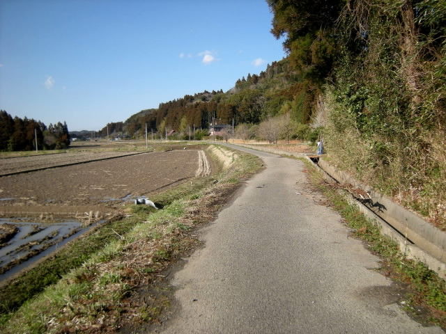 DSCN1687