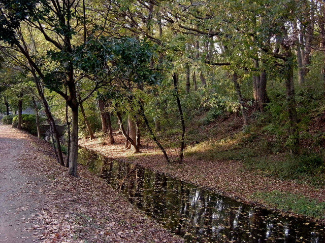DSCN3331