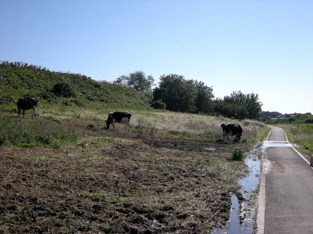 DSCN0574