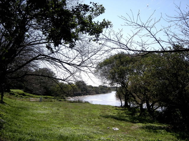DSCN0566