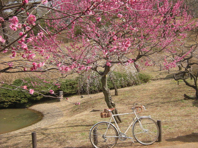 DSCN3827